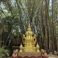 評論圖片 3