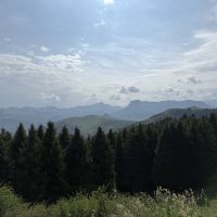 評論圖片 8