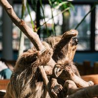 評論圖片 4