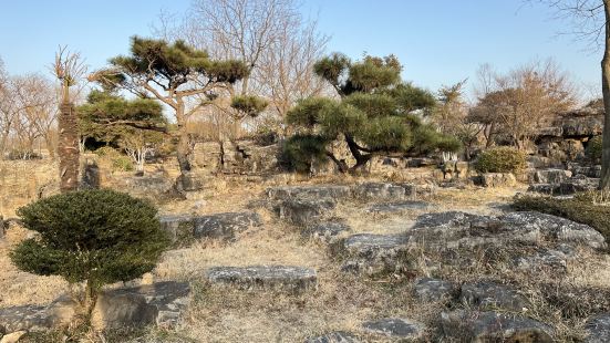 從日照科技館出來，就是日照植物園的後身兒。見時間還早，我們決