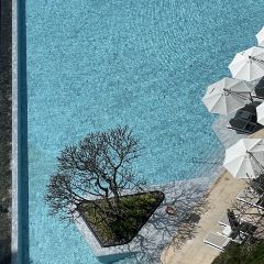 小徑灣艾美酒店·北緯22大堂吧張用戶圖片