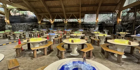 唐船峽流水素麵