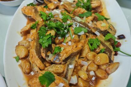 金红太阳饺子城(胜利街店)