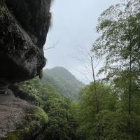 評論圖片 5
