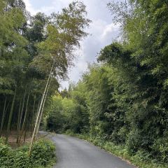 湖州野界森林度假酒店·野界.溶洞餐厅 User Photo