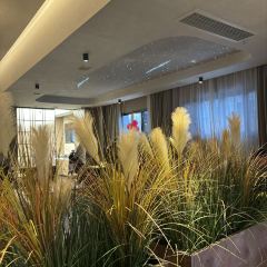 蔓生酒店(广安思源广场店)·瓦屋茶馆 User Photo