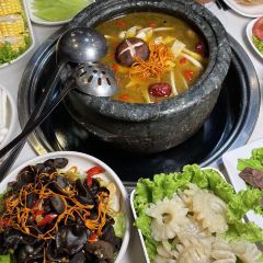 Tamura • Shipot Tibetan Chicken User Photo