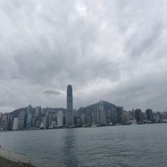 六公館張用戶圖片
