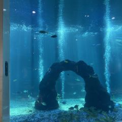 三亚亚龙湾迎宾馆·海洋主题海蓝餐厅 User Photo