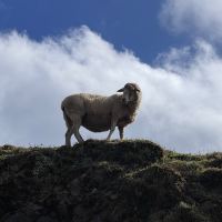 評論圖片 7