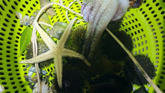 Wanhaijia Sea Hunting Base