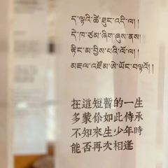 仓央云阁 User Photo