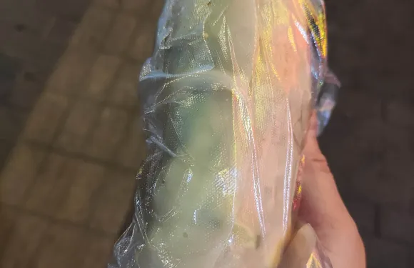 大鳳卷皮（富國街店）