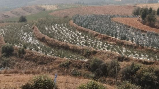 东川红土地位于云南省昆明市东川，这里因电影取景而出名。我们是