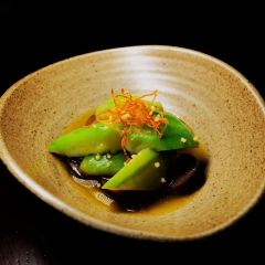 SUN PLANT User Photo