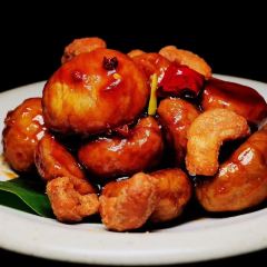 SUN PLANT User Photo