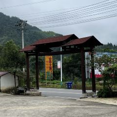 岳西黄尾山林土鸡农家乐 User Photo