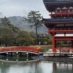 Nakamuratokichi User Photo