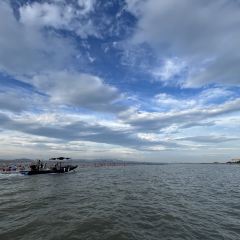 渔舟畅晚_出海捕鱼 User Photo