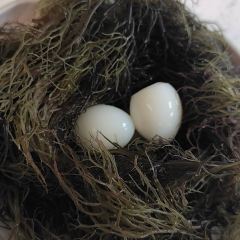 QIONG ZHOU ZAO PO CU User Photo