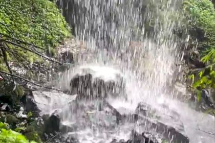 宽山隐庐度假酒店-隐庐餐厅