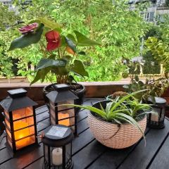 SURE唯尚花园西餐厅 User Photo