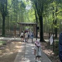 評論圖片 4