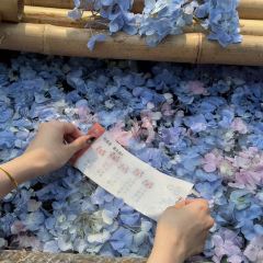 天香蟹园·正宗自产自销(阳澄湖莲花岛店) User Photo