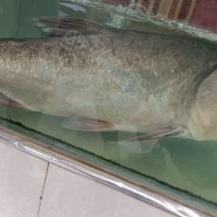 同湘酒店 User Photo