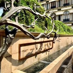 boheng 55 User Photo