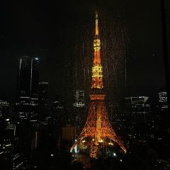 Sky Lounge Stellar Garden 여행 사진