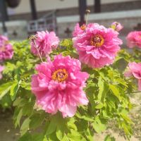 評論圖片 1