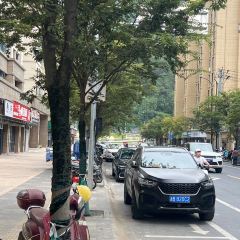 衢州鸭头蓓军鸭 User Photo