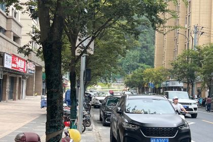 衢州鸭头蓓军鸭