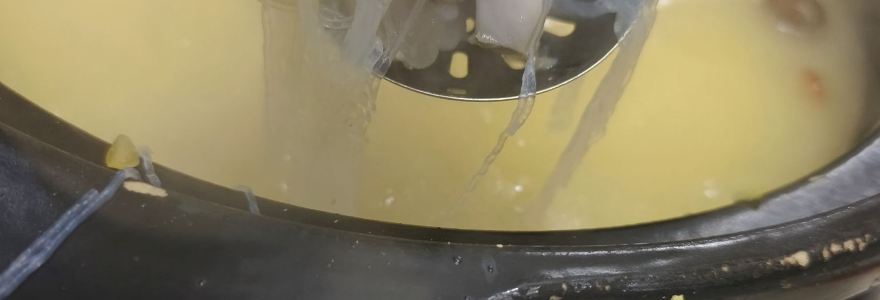 蜀中吳養生板栗雞