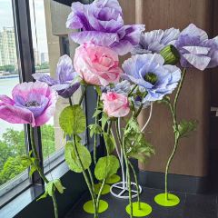 熙唐宴 User Photo