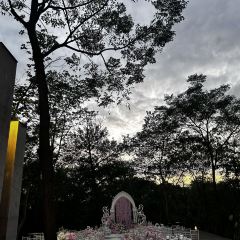 Xi Yin ảnh của người dùng
