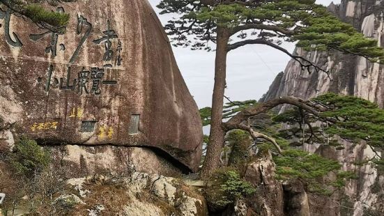 到黄山最有代表性的打卡点，迎客松树龄至少已有1300年，是黄