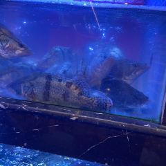 老胡柴火魚總店張用戶圖片