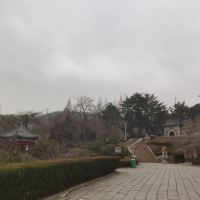 評論圖片 5