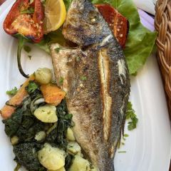 Caffe Grill Adriatic User Photo