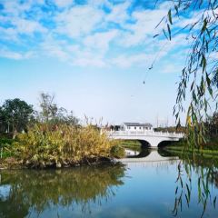 Xin Zhenjiang Shanghai Fuchun Soup Dumplings Restaurant User Photo