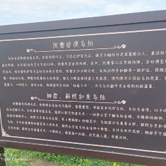 草原部落乌孙王帐 User Photo
