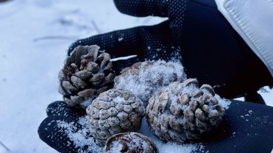 不算热门的免费景点，去的时候是12月份，爬到观景台俯瞰白雪皑