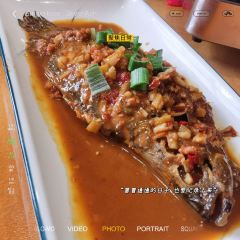 臭鳜鱼山庄 User Photo