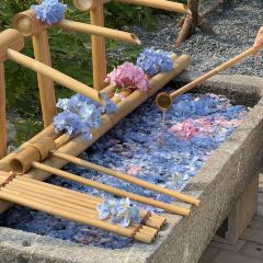 天香蟹园·正宗自产自销(阳澄湖莲花岛店) User Photo