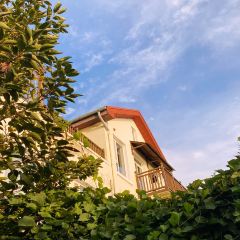 伊美萝薇海景咖啡 User Photo
