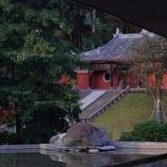 雅安元所·云峰桢里酒店·餐厅 User Photo
