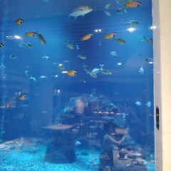 三亞亞龍灣迎賓館·海洋主題海藍餐廳張用戶圖片