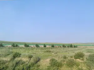 希拉穆仁（召河）牧民家娜拉餐包